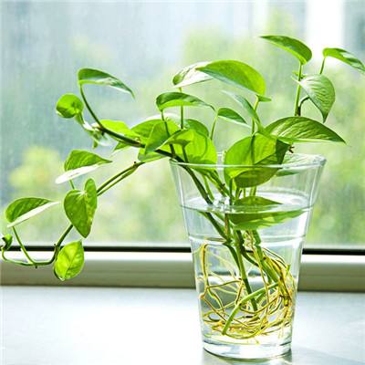 助赢软件下载手机版